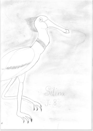 ZVT 1931b Silina